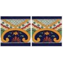 Mexican Talavera Border Tile Saucillo