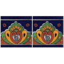 Mexican Talavera Border Tile Perote